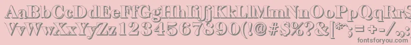 BaskervilleshadowHeavyRegular Font – Gray Fonts on Pink Background