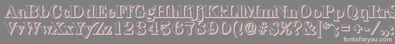 BaskervilleshadowHeavyRegular Font – Pink Fonts on Gray Background