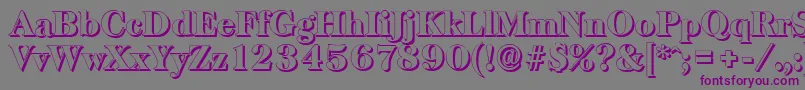 BaskervilleshadowHeavyRegular Font – Purple Fonts on Gray Background