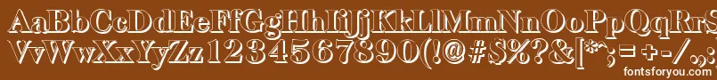 BaskervilleshadowHeavyRegular-Schriftart – Weiße Schriften auf braunem Hintergrund