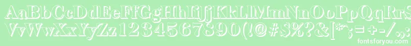 BaskervilleshadowHeavyRegular-Schriftart – Weiße Schriften auf grünem Hintergrund