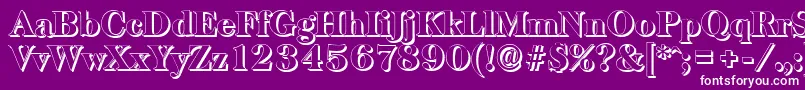 BaskervilleshadowHeavyRegular-Schriftart – Weiße Schriften auf violettem Hintergrund