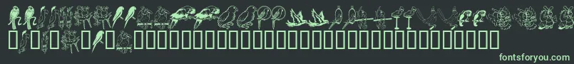 More about LcrParrotTalk Font LcrParrotTalk Font – Green Fonts on Black Background