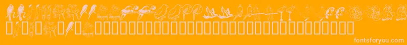 フォントLcrParrotTalk – オレンジの背景にピンクのフォント