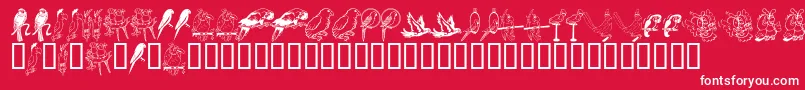 LcrParrotTalk Font – White Fonts on Red Background
