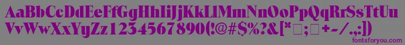 Шрифт LocuraDisplaySsi – фиолетовые шрифты на сером фоне