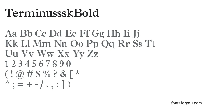 A fonte TerminussskBold – alfabeto, números, caracteres especiais