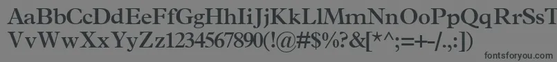 フォントTerminussskBold – 黒い文字の灰色の背景