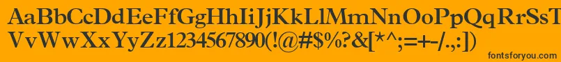 TerminussskBold Font – Black Fonts on Orange Background