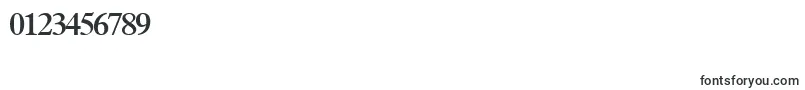 フォントTerminussskBold – 数字と数値のためのフォント
