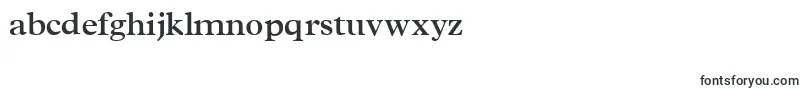 TerminussskBold Font – Alphabet Fonts