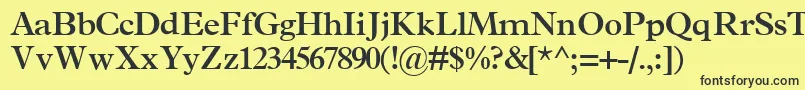 TerminussskBold Font – Black Fonts on Yellow Background