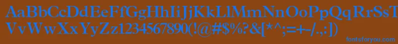 TerminussskBold Font – Blue Fonts on Brown Background