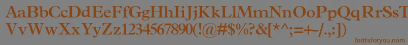 TerminussskBold Font – Brown Fonts on Gray Background