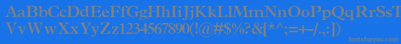 TerminussskBold Font – Gray Fonts on Blue Background