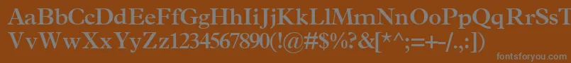 TerminussskBold Font – Gray Fonts on Brown Background