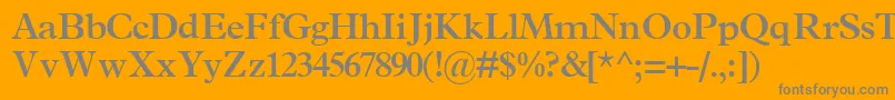 TerminussskBold Font – Gray Fonts on Orange Background