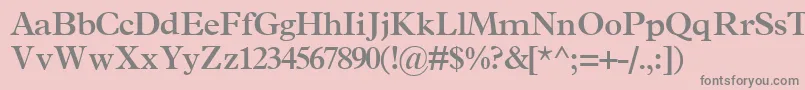 TerminussskBold Font – Gray Fonts on Pink Background