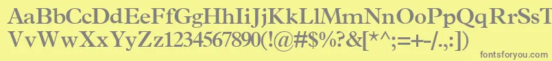 TerminussskBold Font – Gray Fonts on Yellow Background