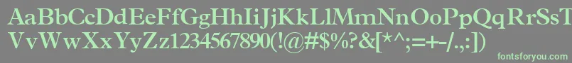 TerminussskBold Font – Green Fonts on Gray Background