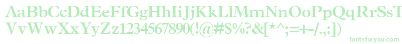 TerminussskBold Font – Green Fonts