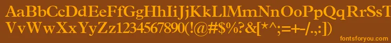 TerminussskBold Font – Orange Fonts on Brown Background