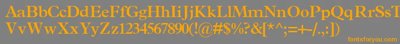 TerminussskBold Font – Orange Fonts on Gray Background