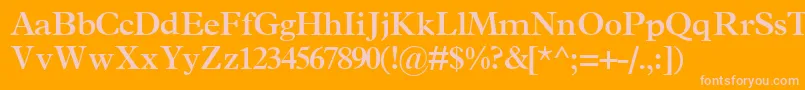 TerminussskBold Font – Pink Fonts on Orange Background