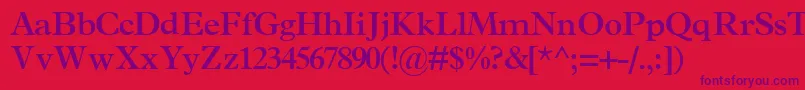 TerminussskBold Font – Purple Fonts on Red Background