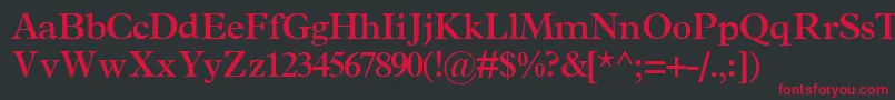 TerminussskBold Font – Red Fonts on Black Background