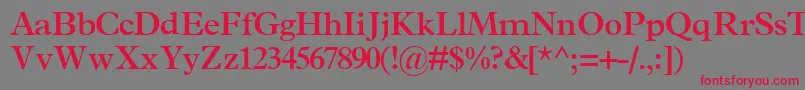 TerminussskBold Font – Red Fonts on Gray Background