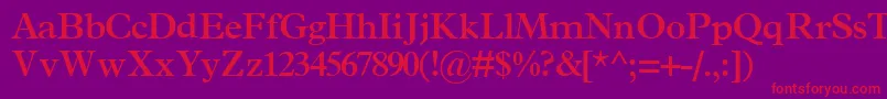 TerminussskBold Font – Red Fonts on Purple Background