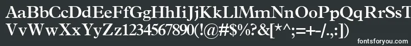 TerminussskBold Font – White Fonts on Black Background