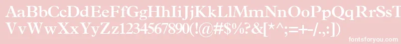 TerminussskBold Font – White Fonts on Pink Background