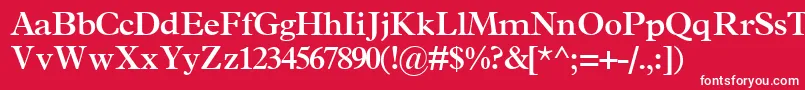 TerminussskBold Font – White Fonts on Red Background