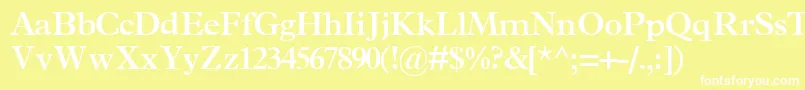 TerminussskBold Font – White Fonts on Yellow Background