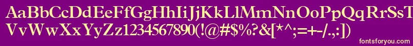 TerminussskBold Font – Yellow Fonts on Purple Background