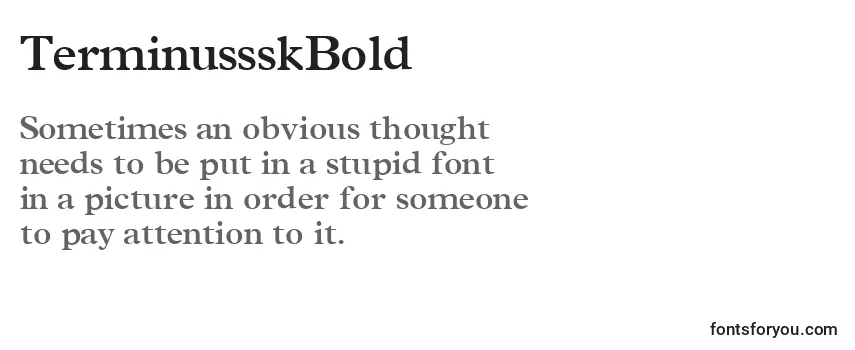 Review of the TerminussskBold Font