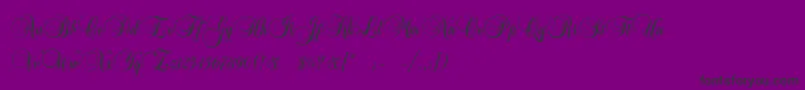 Copyist Font – Black Fonts on Purple Background