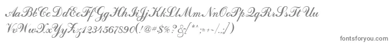 Weitere Informationen zur CalligraphRegular-Schriftart CalligraphRegular-Schriftart – Graue Schriften