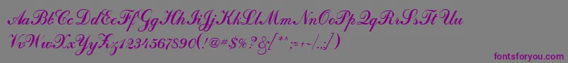 Шрифт CalligraphRegular – фиолетовые шрифты на сером фоне