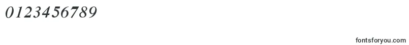 CyrillictimesItalic Font – Fonts for Numbers and Digits