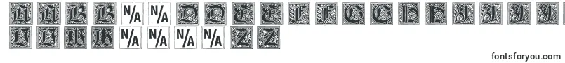 Gebetsbuchinitialen Font – Ornament Fonts