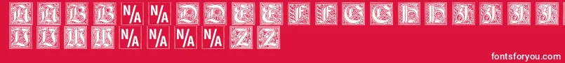 Gebetsbuchinitialen Font – White Fonts on Red Background