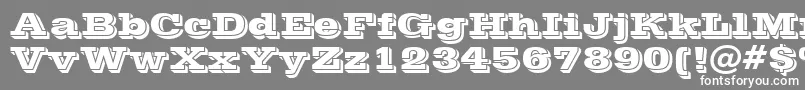 Vinet-Schriftart – Weiße Schriften auf grauem Hintergrund