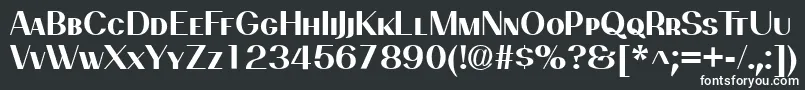 PassionsanspdbkBoldsmallca Font – White Fonts on Black Background