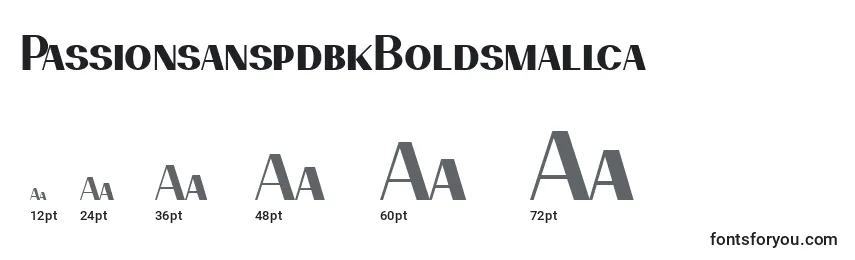 PassionsanspdbkBoldsmallca Font Sizes