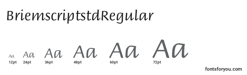 Размеры шрифта BriemscriptstdRegular