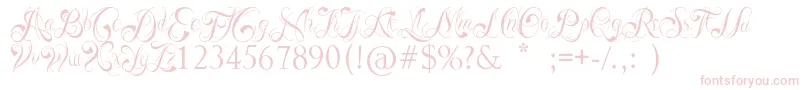 ReadyBlack Font – Pink Fonts on White Background