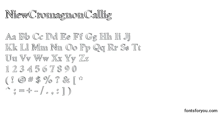 Schriftart NiewCromagnonCallig – Alphabet, Zahlen, spezielle Symbole